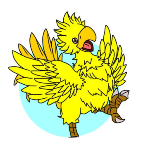 chocobo-eyecatch